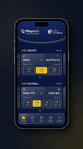 Playexch in-play live cricket betting exchange dashboard illustration